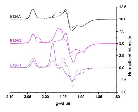 A graph with three lines.