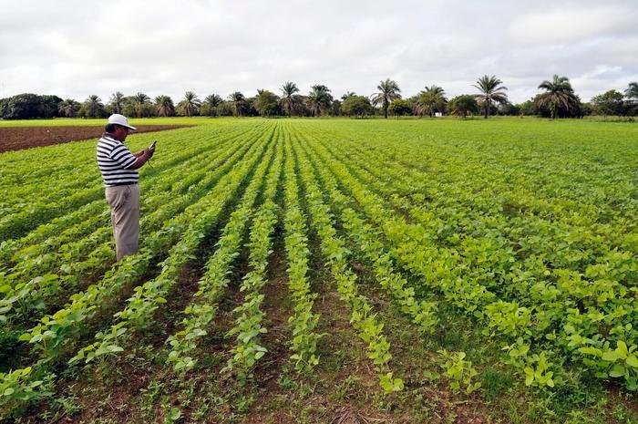 Foreign direct investments may fuel tropical deforestation