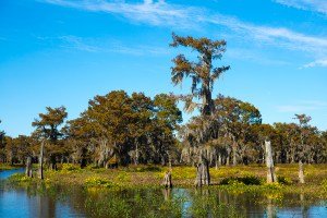 Mississippi's Most Expensive Home