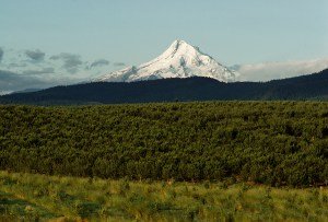 Oregon's Most Expensive Home
