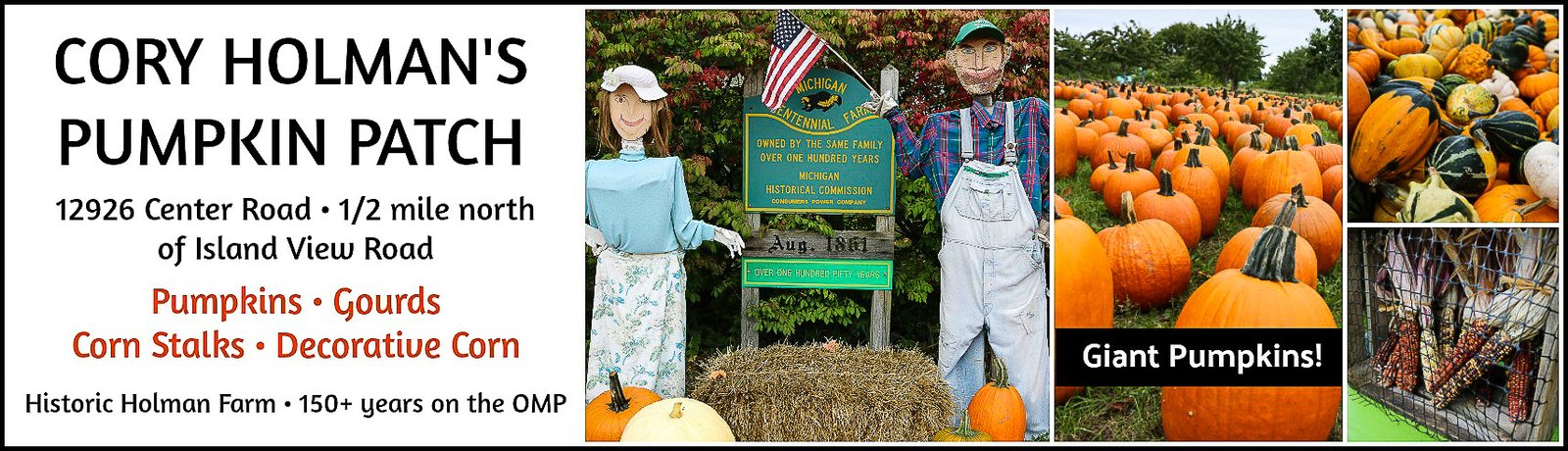 cory holman's pumpkin patch, old mission pumpkins, old mission peninsula, old mission farm stands, cory holman, holman farm, old mission gazette, old mission, old mission michigan, peninsula township