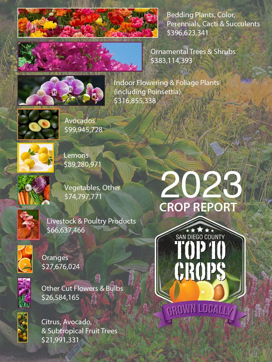 2023 crop report top 10 list