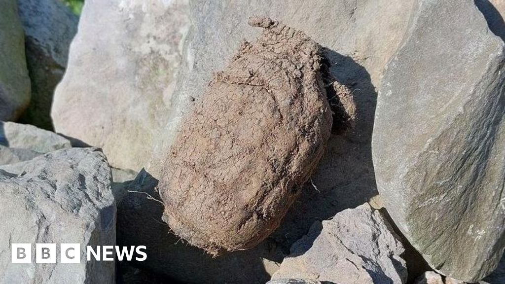 Kendal metal detectorists find live hand grenade in Flookburgh