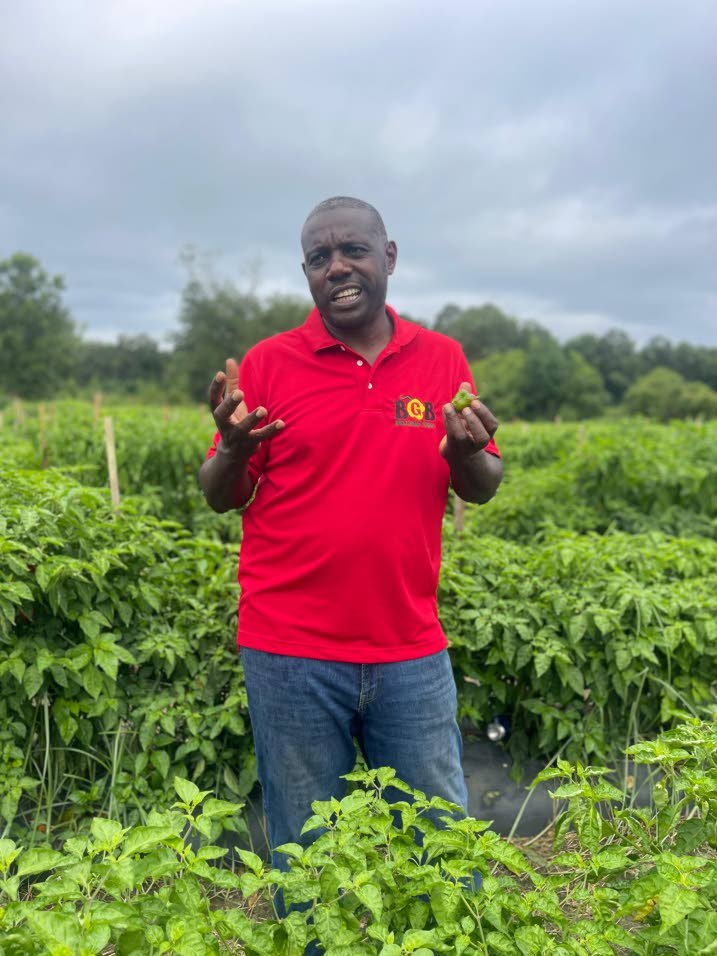 From half-acre to agricultural powerhouse