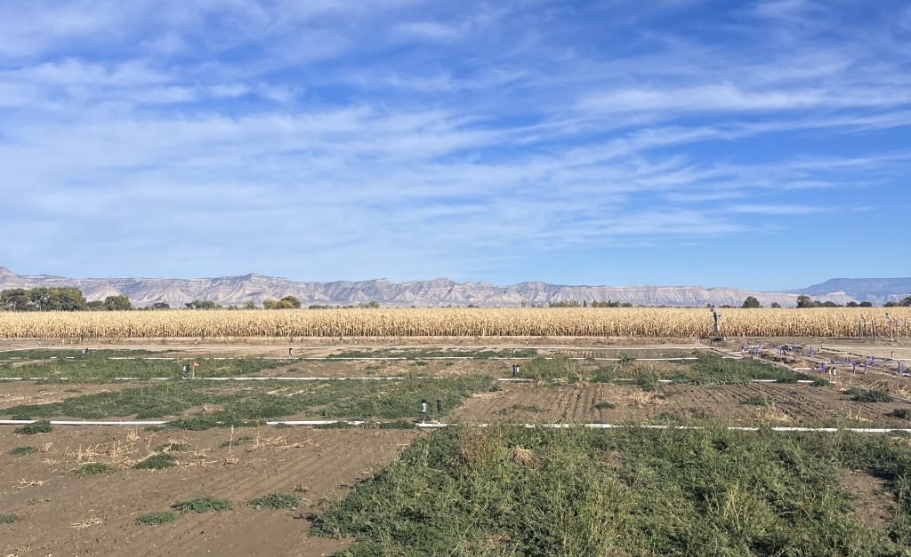 Colorado’s soil health program takes a hit as the federal government pulls millions in funding from the Climate Smart Commodities grant