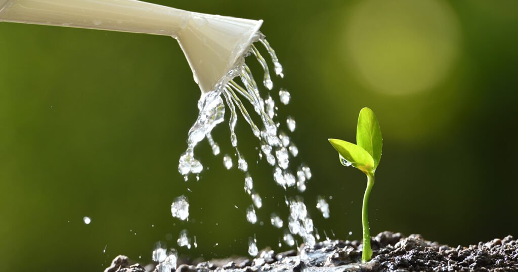 Proposed regulations issued on retirement catch-up contributions