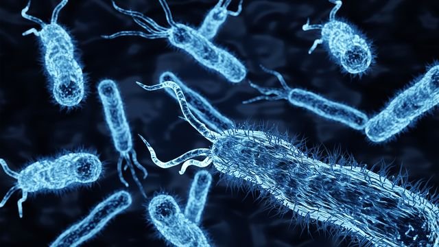 Antibiotic Resistance Linked to Copper Antimicrobial Use