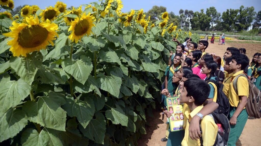 UAS-B makes AI and ML programmes mandatory for agricultural science students in Bengaluru campus