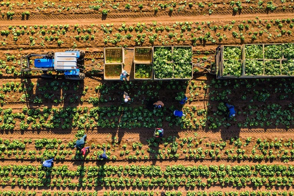 beyond farming to food security