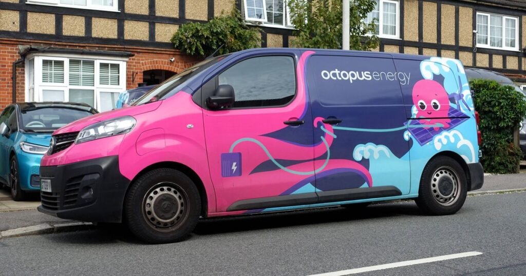Octopus Energy warns of 20% jump in energy bills as ‘urgent’ changes needed