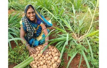 Rural Inflation Eases In September 2025, Agricultural Labourers See Negative Growth