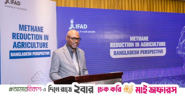 Translating research into practice is key to reducing agricultural methane: Experts