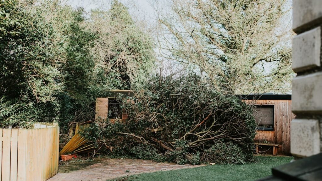 UK braces for Storm Amy: How to minimise damage to your home and garden