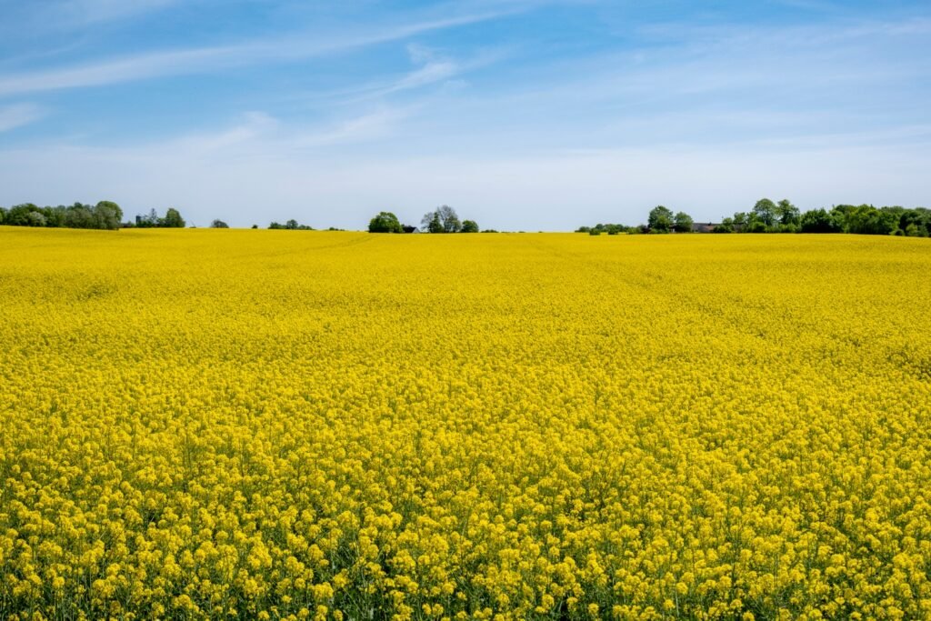 Federal Agricultural Mortgage: Share Price Drop Creates Opportunities (NYSE:AGM)