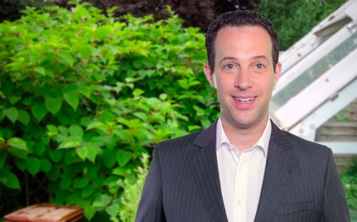 Bad conveyancers are like knotweed in property chains