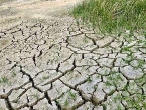 A $611B Setback: How Climate Disasters Have Eroded Africa’s Agricultural Output