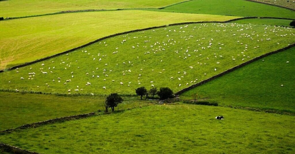 West had highest volume of agricultural land sales in 2024