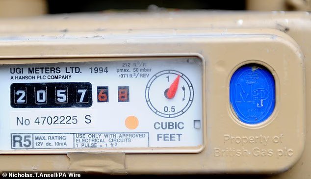 Millions of households MUST check their energy meter… or risk higher bills in January