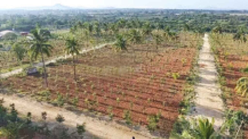 Permanent special agricultural zone to come up near Devanahalli