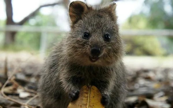 Utilities for dummies: How they work and why that needs to change