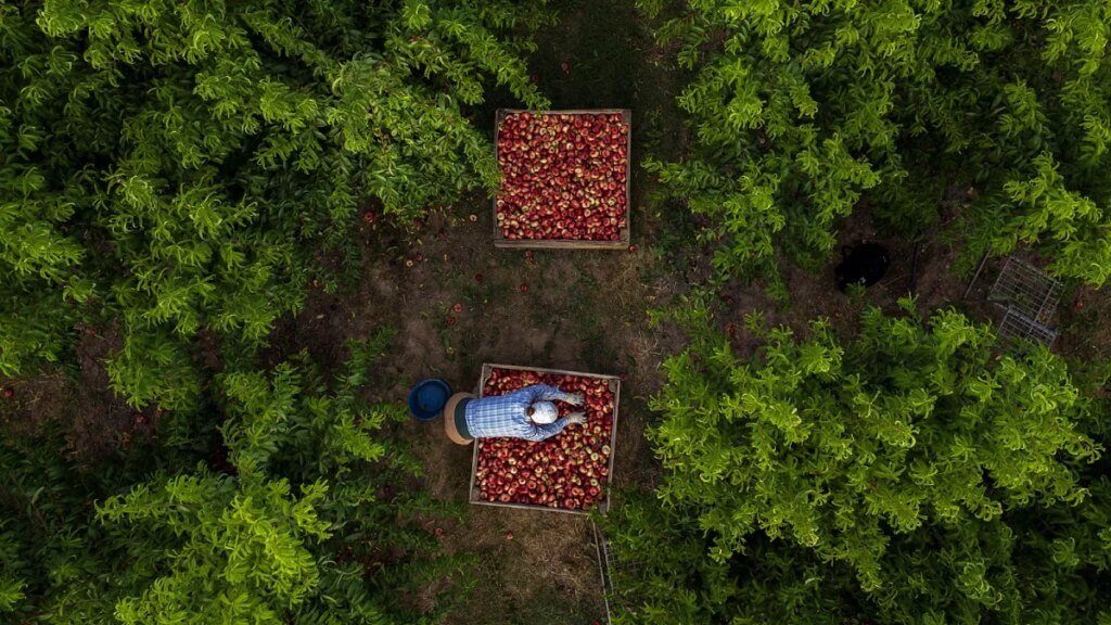 All you need to know about the EU agriculture sector