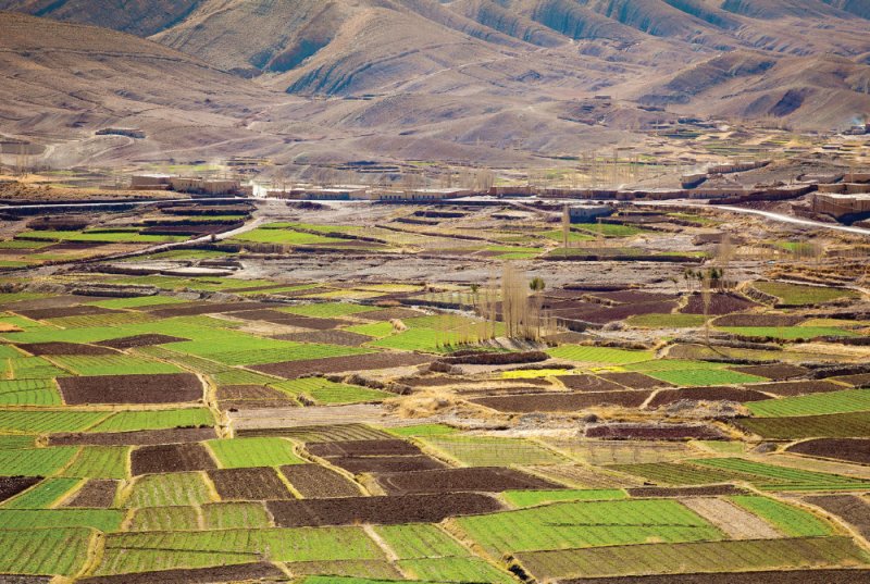 Food under pressure: how global food security and agricultural resilience