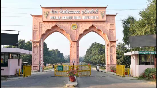 Punjab Agricultural University ranked among world’s top 100 agri institutions